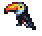 Toucan