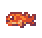 Pufferfish