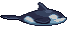 Orca