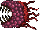 Wall of Flesh