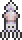 Squid