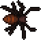 Black Recluse