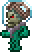 Skeleton