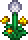 Angry Dandelion