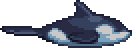 Orca