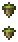 Acorn