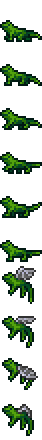 Pet Lizard