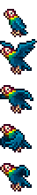 Parrot