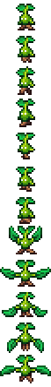 Sapling