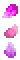 Flower Petal