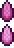 Seed