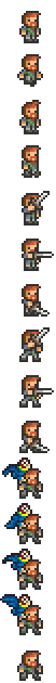 Soulscourge Pirate