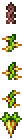 Snapthorn