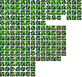 Chlorophyte