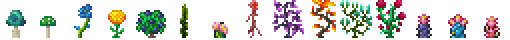 Dye Plants