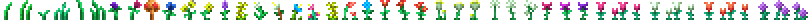Plants