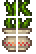 Seaweed Planter
