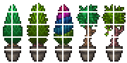 Potted Plants1