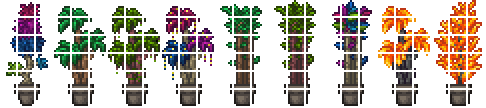 Potted Plants2
