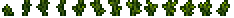 Seaweed