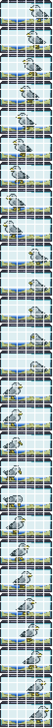 Seagull Cage