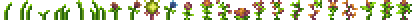 Jungle Plants