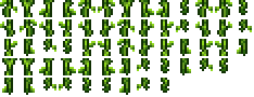 Jungle Vines